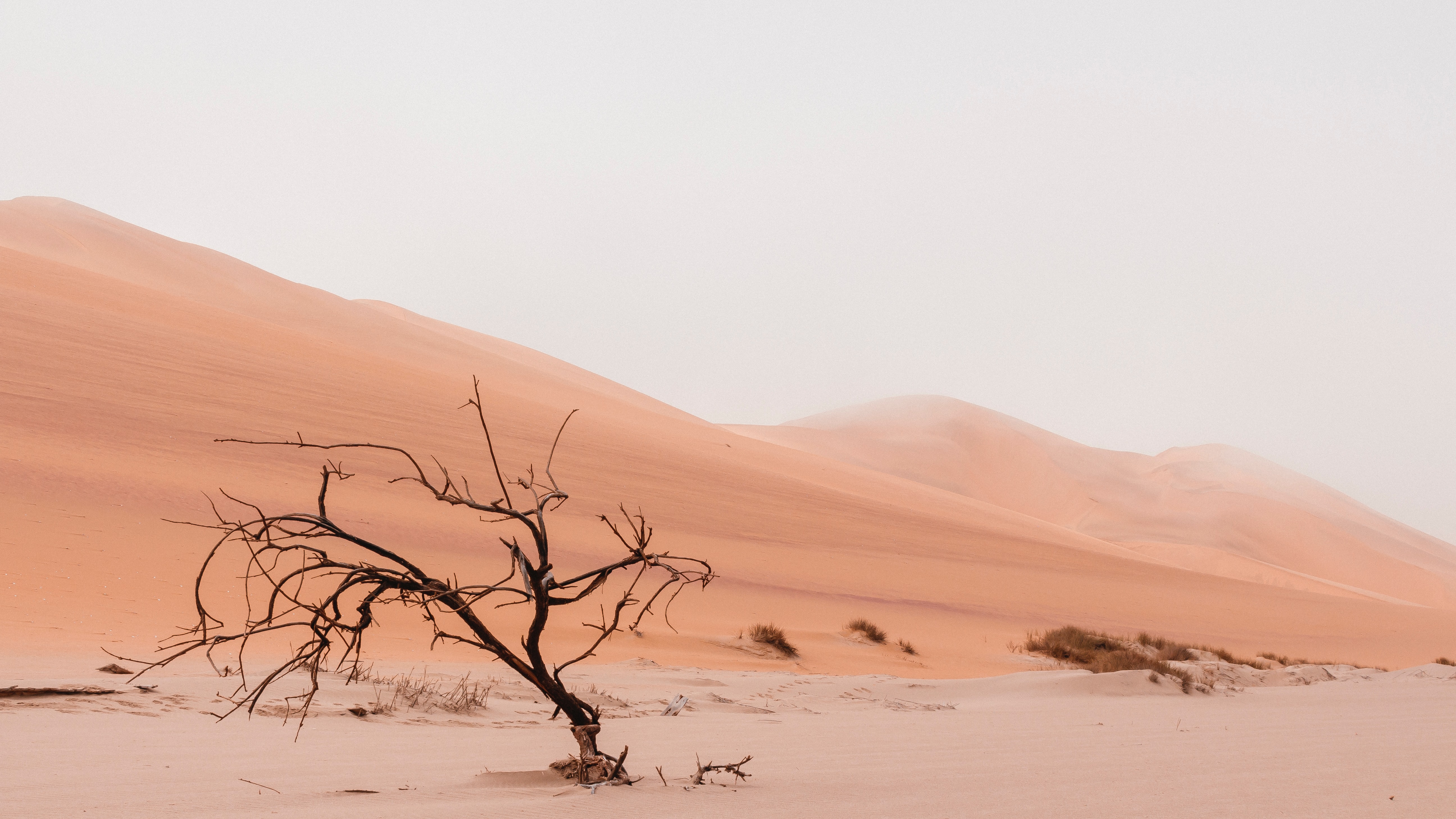 Caminho pelo deserto