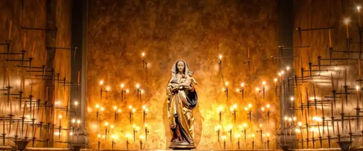 Maria, és a árvore da vida